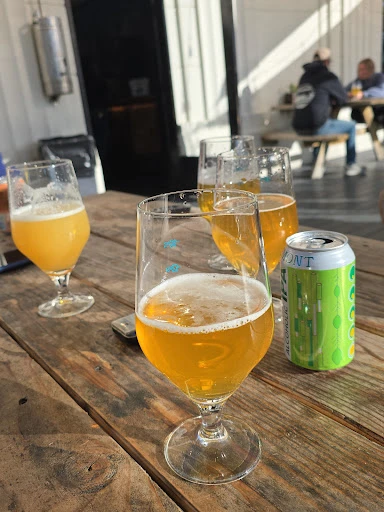 Fluid State Beer Garden photo 8